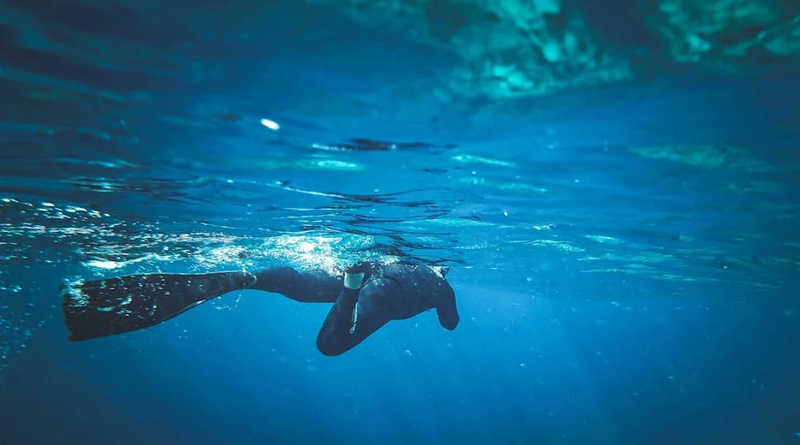 Snorkla i Oceanhamnen