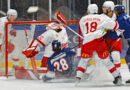 Helsingborgs HC