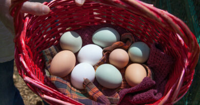 Påskjakt på Fredriksdal